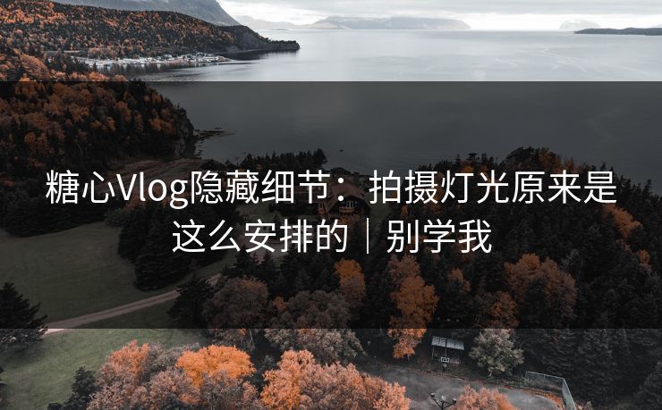 糖心Vlog隐藏细节：拍摄灯光原来是这么安排的｜别学我