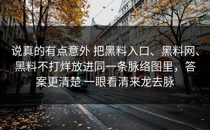说真的有点意外 把黑料入口、黑料网、黑料不打烊放进同一条脉络图里，答案更清楚 一眼看清来龙去脉